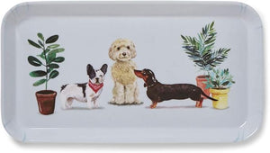 Curious Dogs Small Tray