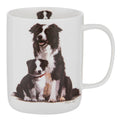 Puppy Love Border Collie Mug