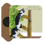 Assorted 'Little Dog Laughed' Drink Coasters