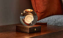 Load image into Gallery viewer, Walnut Dandelion 3D Laser Light