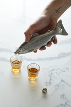 Load image into Gallery viewer, Fish Hip Flask