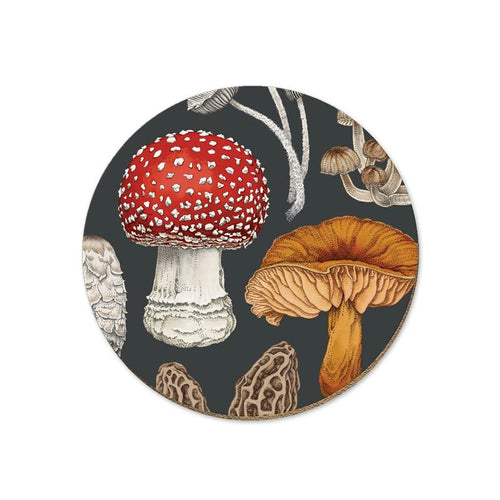 NZ Fungi Morchella Coaster