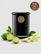 Persian Lime & Lemongrass Long Burning Organic Coconut Wax Candle - Odour Eliminator