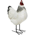 Tall White Hen