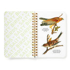 Salty Birds Sticker Book