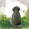 Doodle and Daffodils Coaster