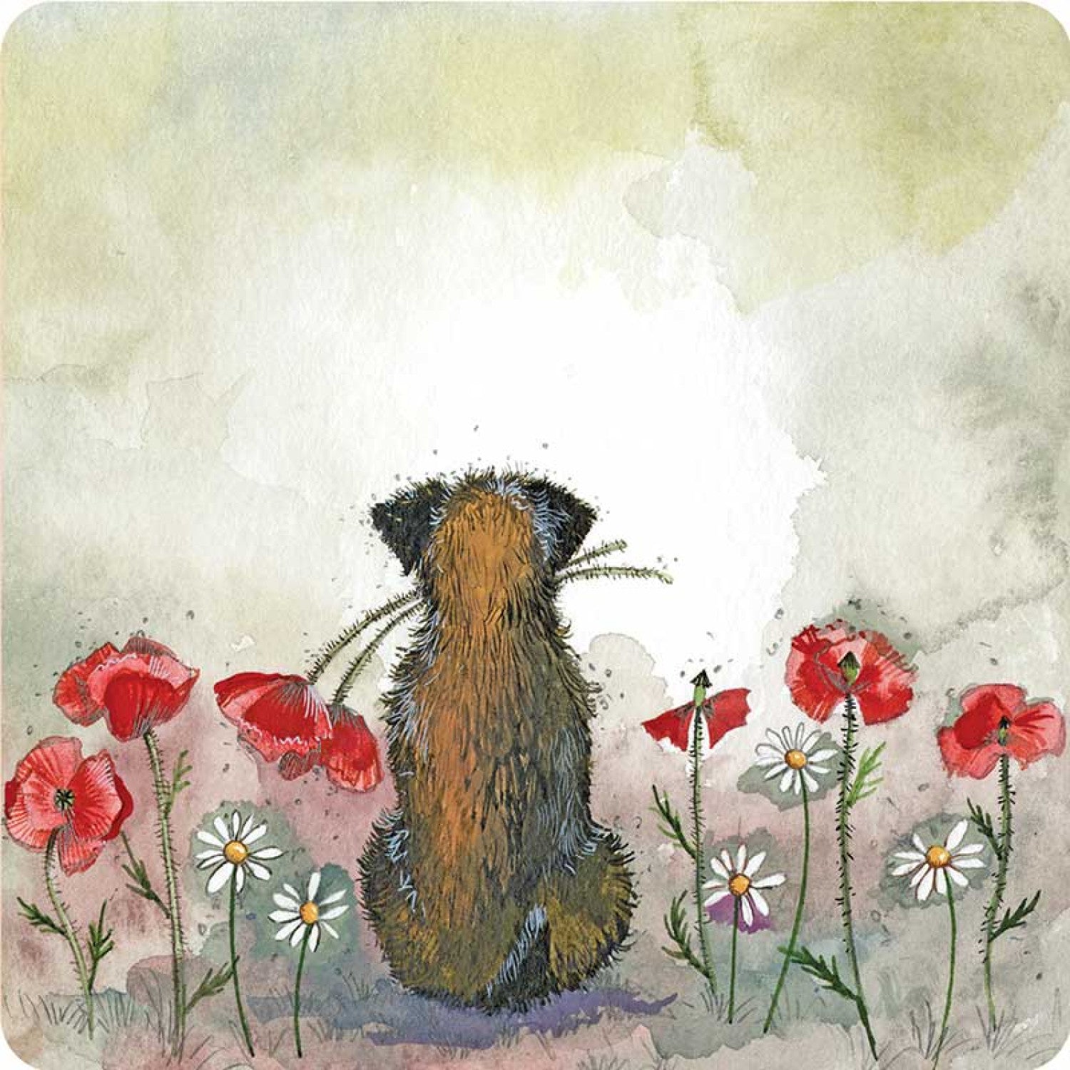 Border and Poppies Coaster