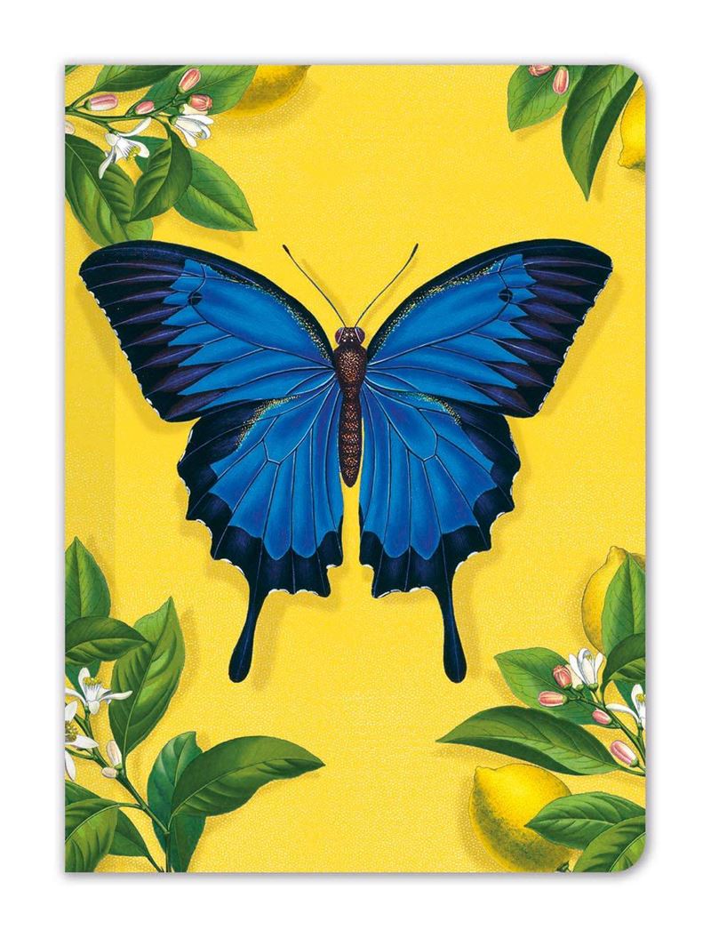 Ulysses Butterly Mini Notebook