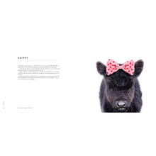 Load image into Gallery viewer, Load of Bull