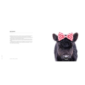 Load of Bull