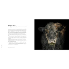 Load image into Gallery viewer, Load of Bull