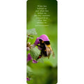 What lies behind Book Mark