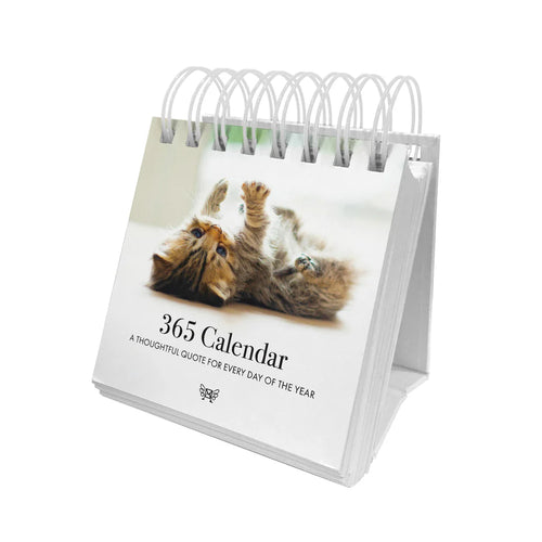 Kitten 365 Calendar