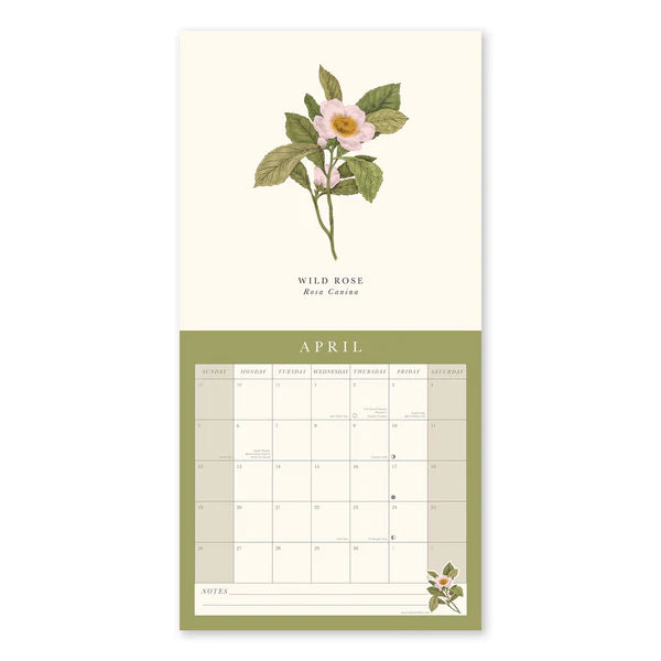 Flora Botanica 2026 Wall Calender