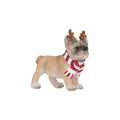 Christmas Reindeer Dog Ornament