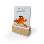 Bee Happy Affirmation Box