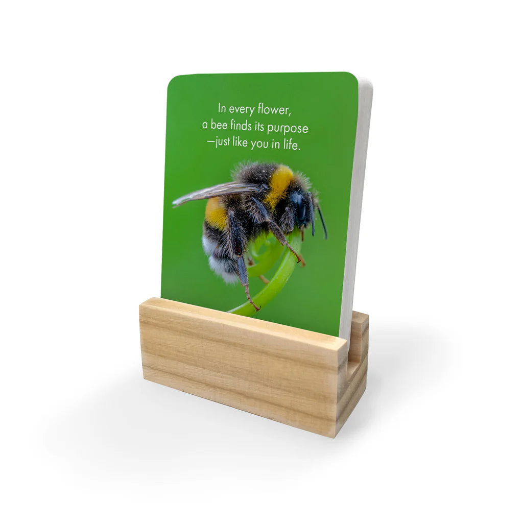 Believe in Yourself Little Affirmation Box