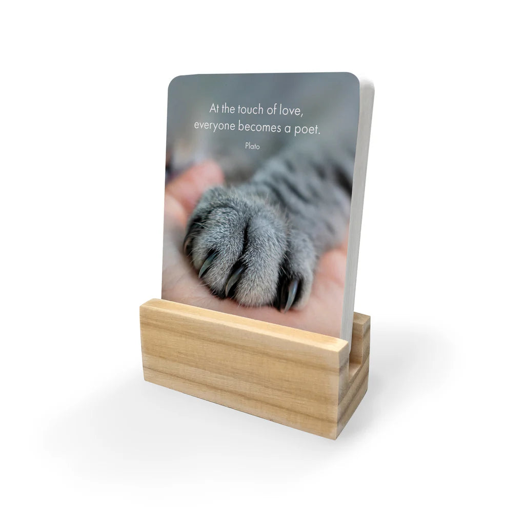 The Great Catsby Affirmations Box