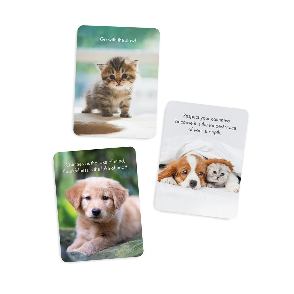 Little Paws Affirmation Box