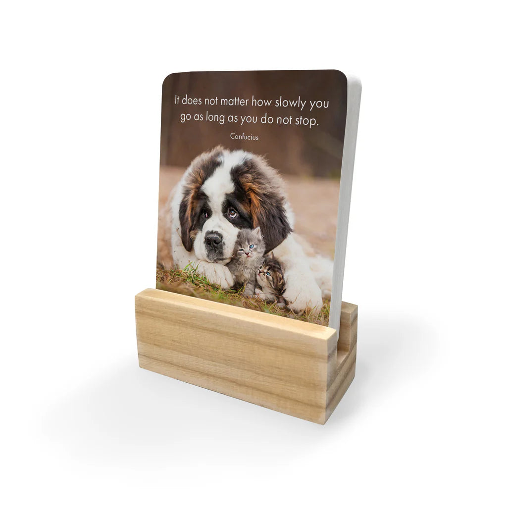 Little Paws Affirmation Box