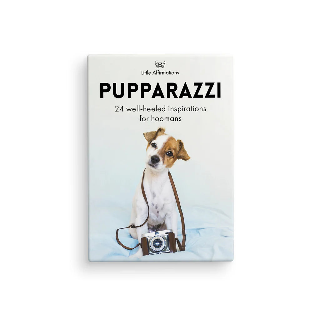 Pupparazzi Affirmation Box