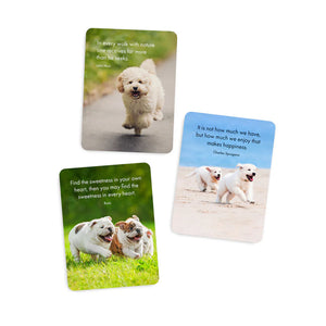 Pupparazzi Affirmation Box