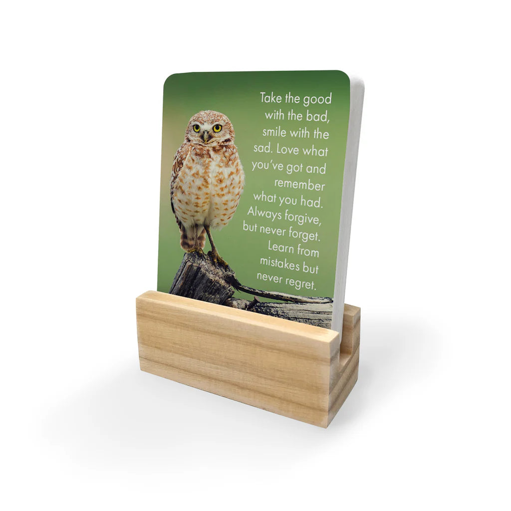Words of Wisdom Affirmation Box