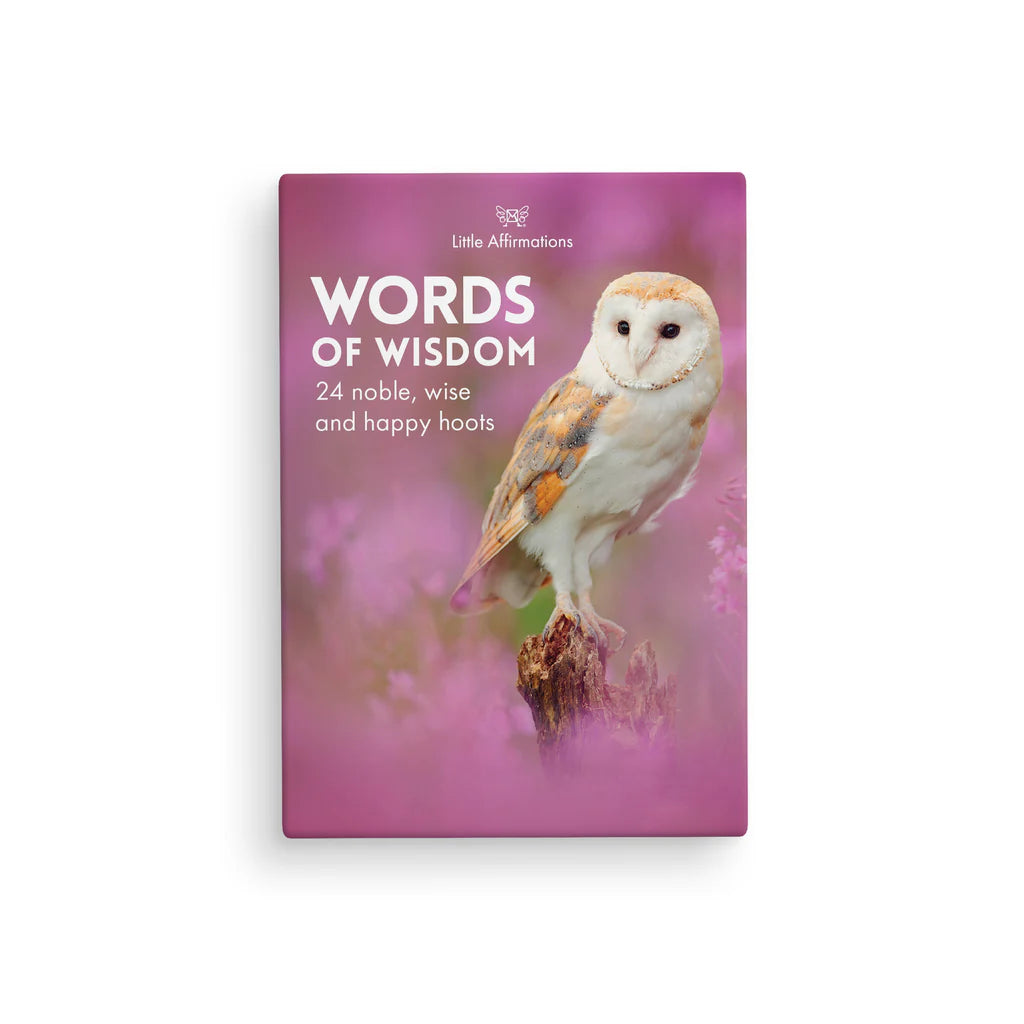 Words of Wisdom Affirmation Box