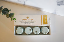 Load image into Gallery viewer, Focus Earth Spring Shower Steamers Set of 4