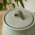 Forest Fable Canister Owl