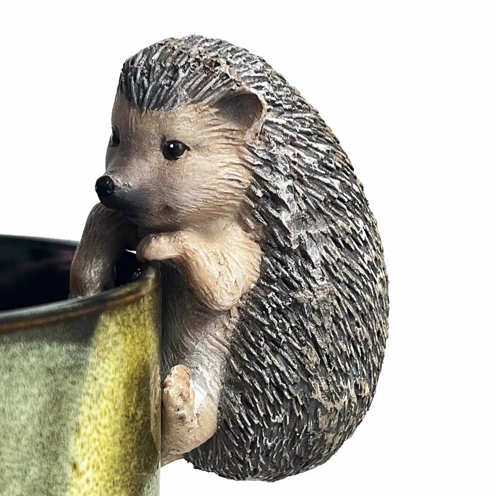 Hedgehog Hanging Rim Multi