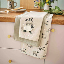 Load image into Gallery viewer, Highland Sheep 3pk Tea Towels