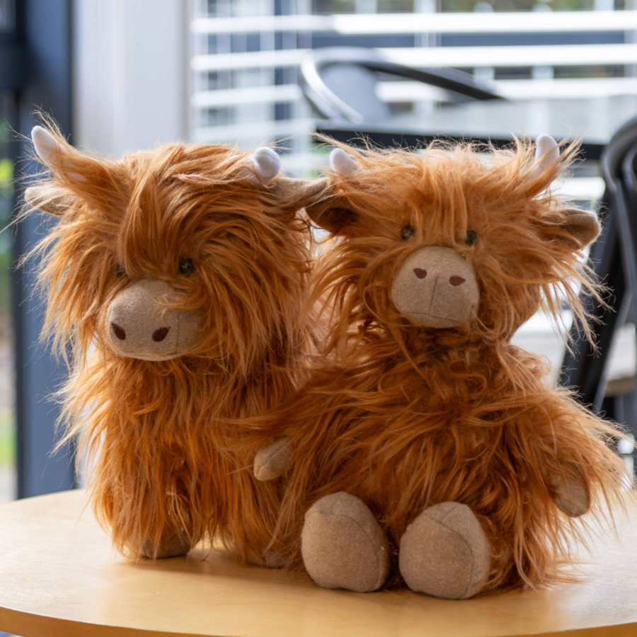 Mac the Highland Cow