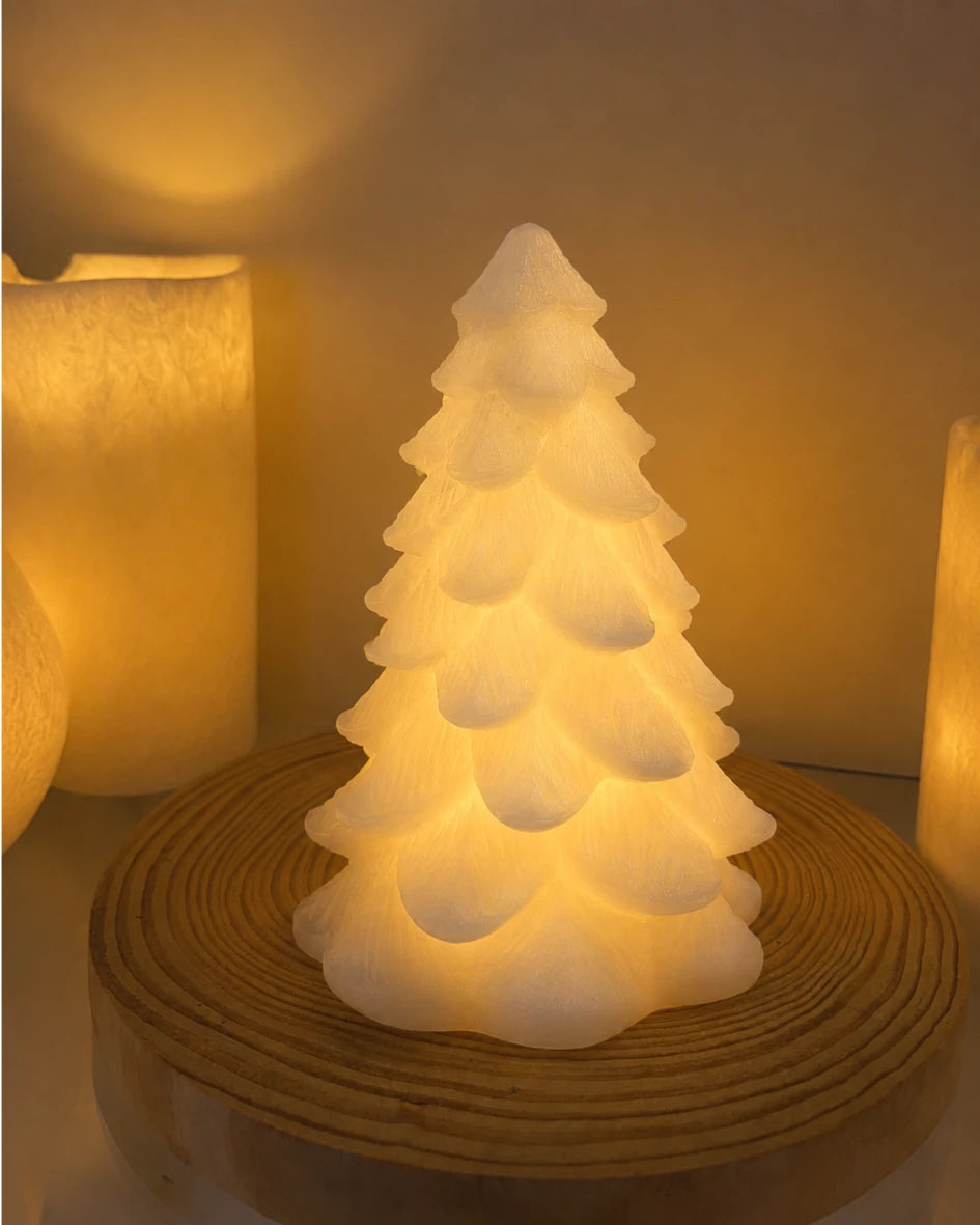 2026 Snowbell Tree 15cm