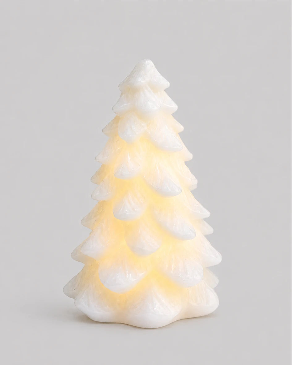 2026 Snowbell Tree 15cm