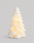 2026 Snowbell Tree 15cm