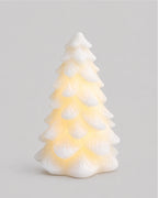 2026 Snowbell Tree 15cm