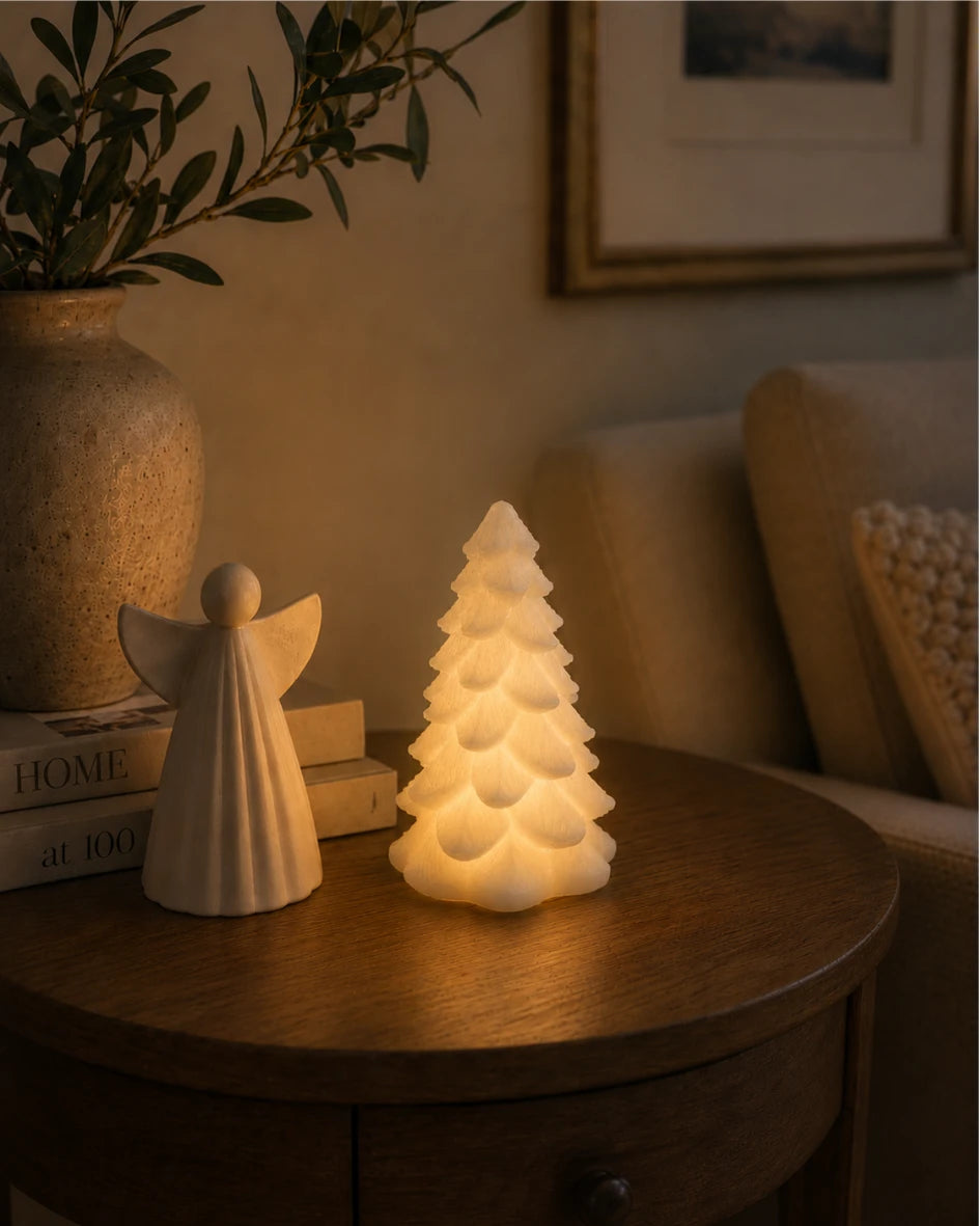 2026 Snowbell Tree 15cm