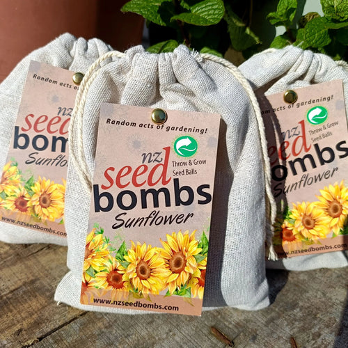 NZ Seed Bombs Sunflower