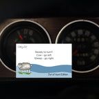 Getting Lost Kiwi Out of Town