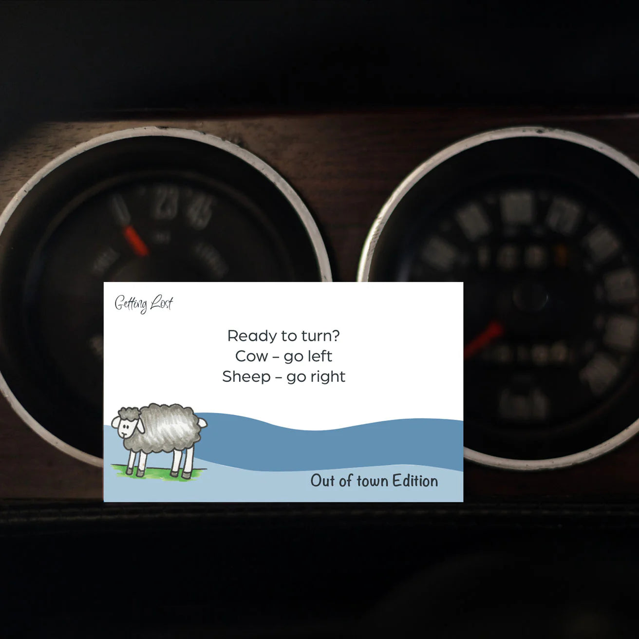 Getting Lost Kiwi Out of Town