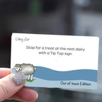 Getting Lost Kiwi Out of Town