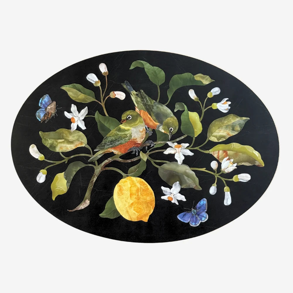 NZ Native Birds Oval Placemats Set of 4