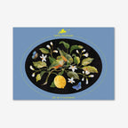 NZ Native Birds Oval Placemats Set of 4
