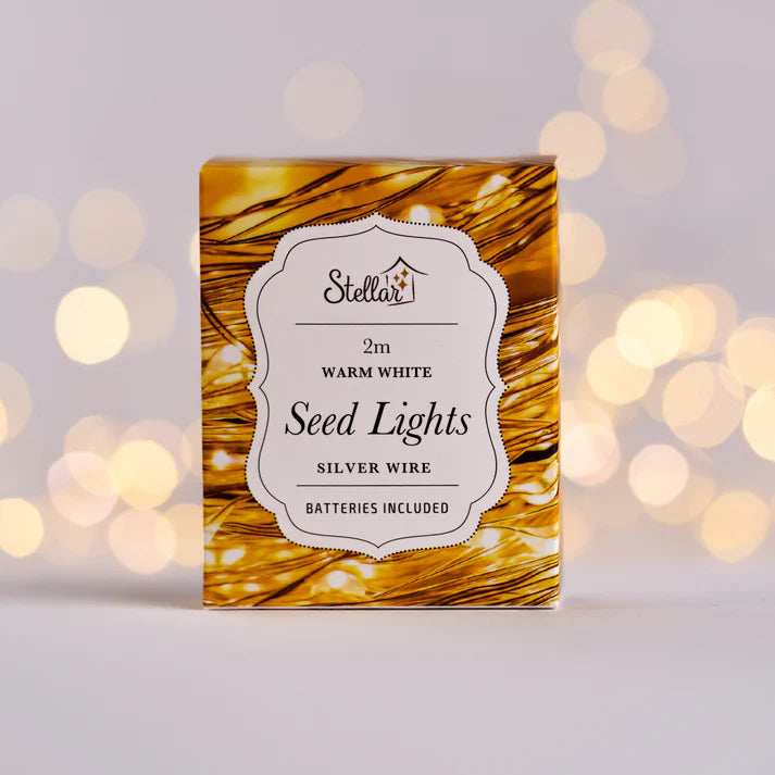 2m Silver Warm White 20LED Seed Light String