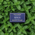 We Sinus Shower Steamer