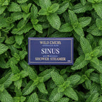 We Sinus Shower Steamer