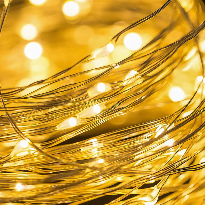 2m Silver Warm White 20LED Seed Light String