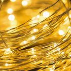 2m Silver Warm White 20LED Seed Light String