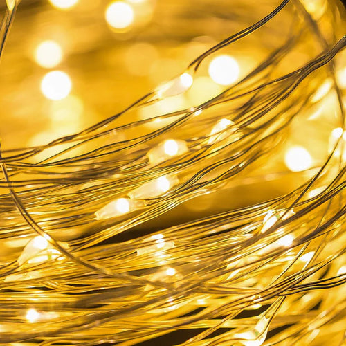 2m Silver Warm White 20LED Seed Light String